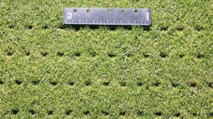 Dyna-Corer Holes Grass Results