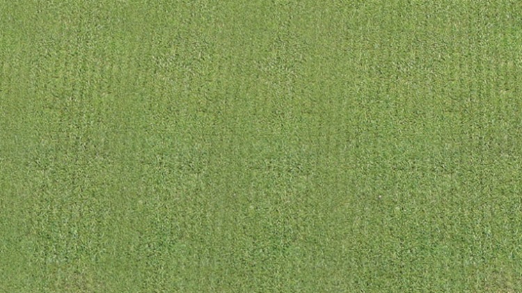 Thatch-Away POA Buster - Groomer grass